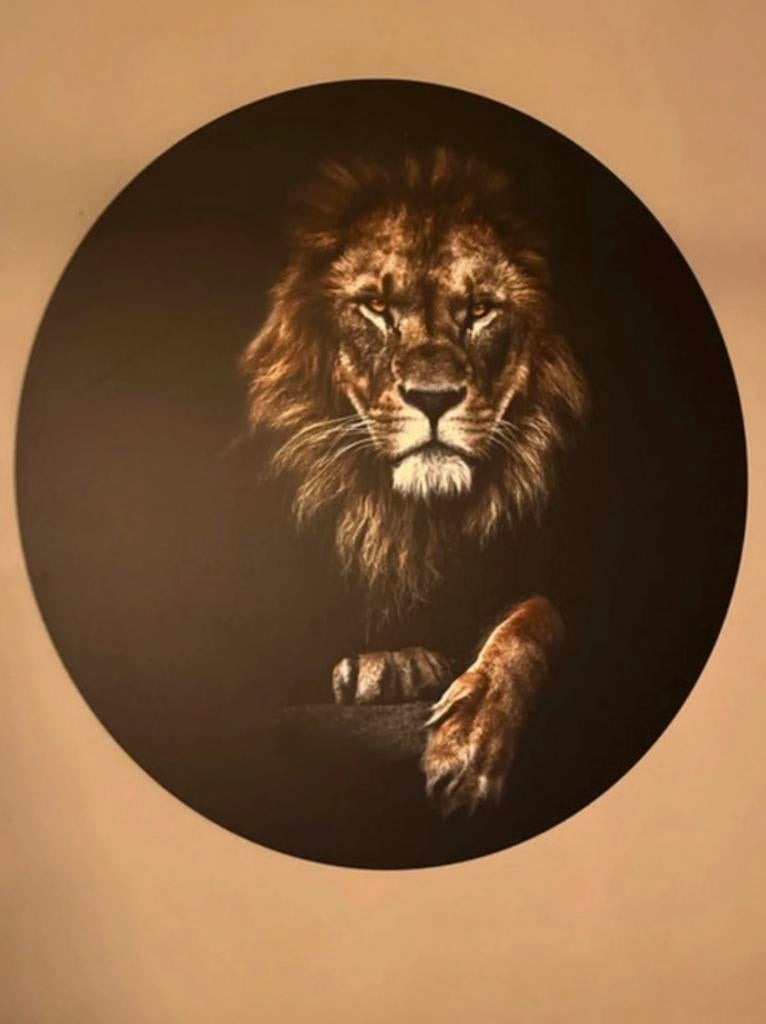 Muurcirkel leeuw, Zwart, Ophalen of Verzenden, Zo goed als nieuw, Wandcirkel