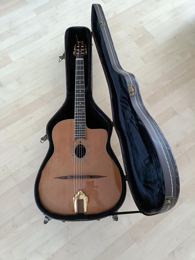 Ozark Gypsy gitaar, zeer mooie koffer en Peavey klassieke gi, Ophalen, Gebruikt, Overige typen, Met koffer