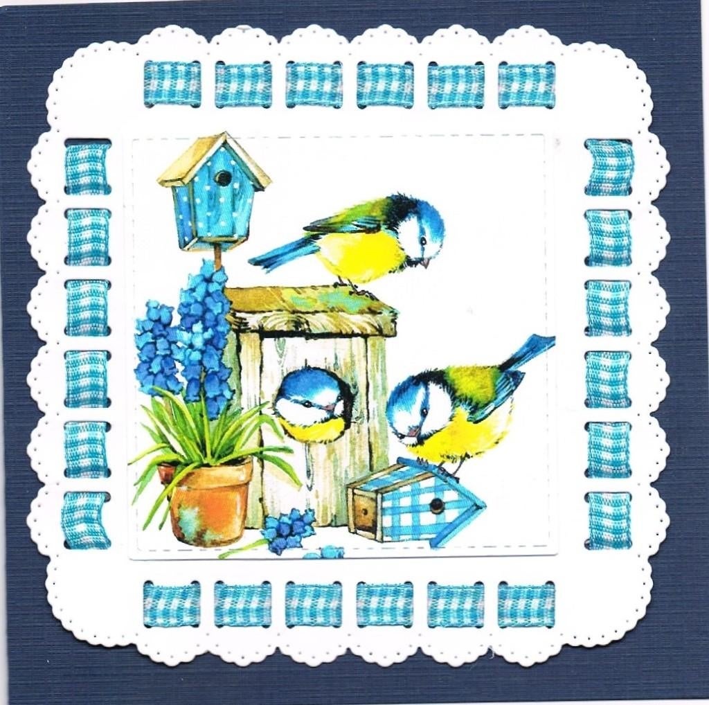 vogel kaart met lint, Ophalen of Verzenden, Nieuw, Dieren