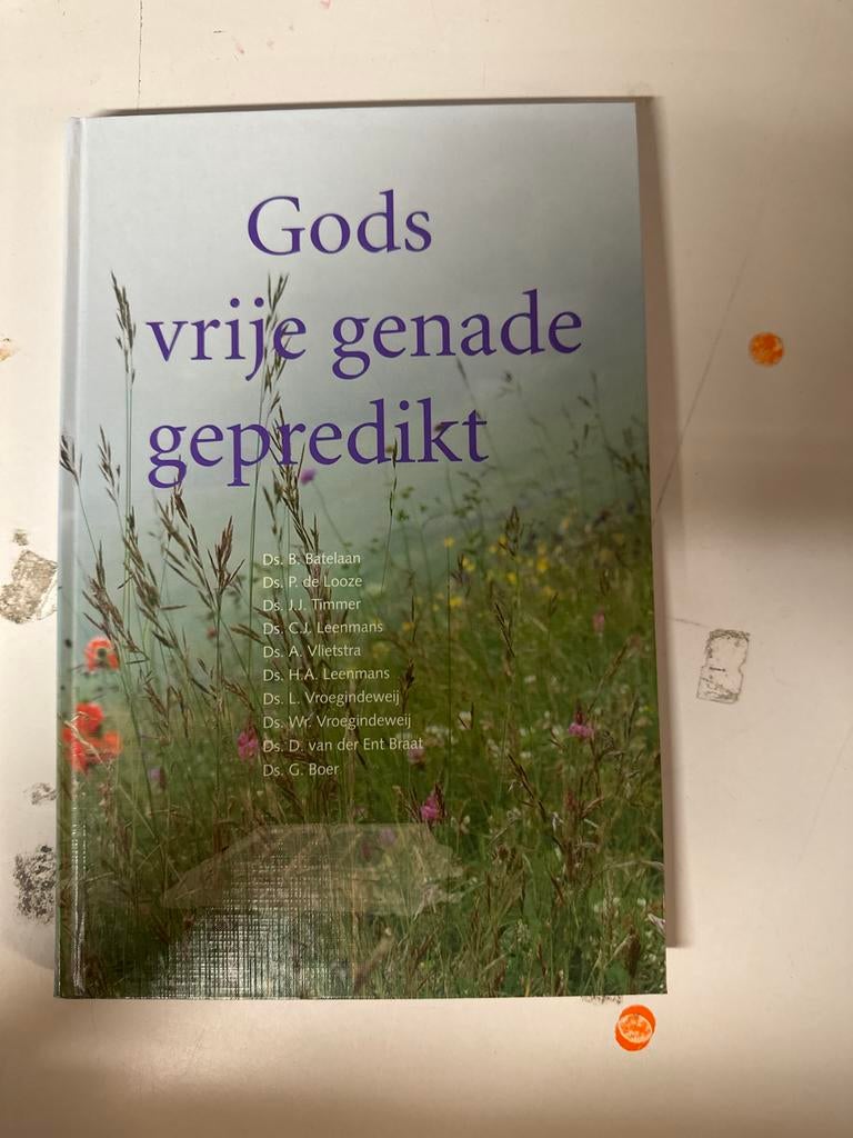 Gods vrije genade gepredikt - Predikanten Waarder, Ophalen of Verzenden, Zo goed als nieuw, Christendom | Protestants