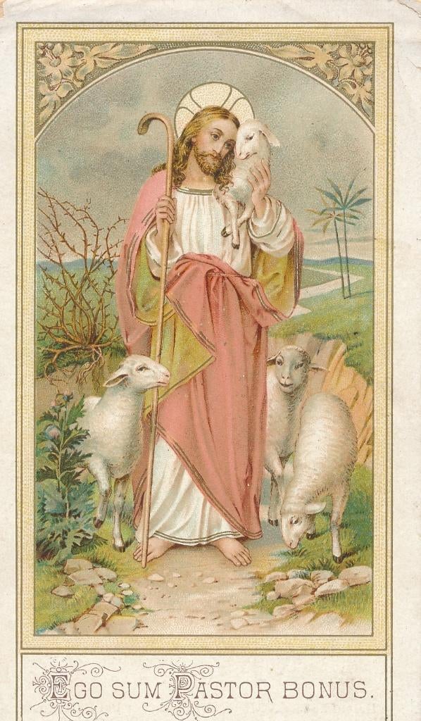 Oud devotieprentje van Pastor Bonus - achterop gebed, Ophalen of Verzenden, Zo goed als nieuw, Kaart of Prent, Christendom | Katholiek