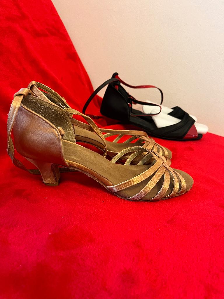 dansschoenen in goede staat., Ophalen of Verzenden, Zo goed als nieuw, Metaal of Blik, Dier