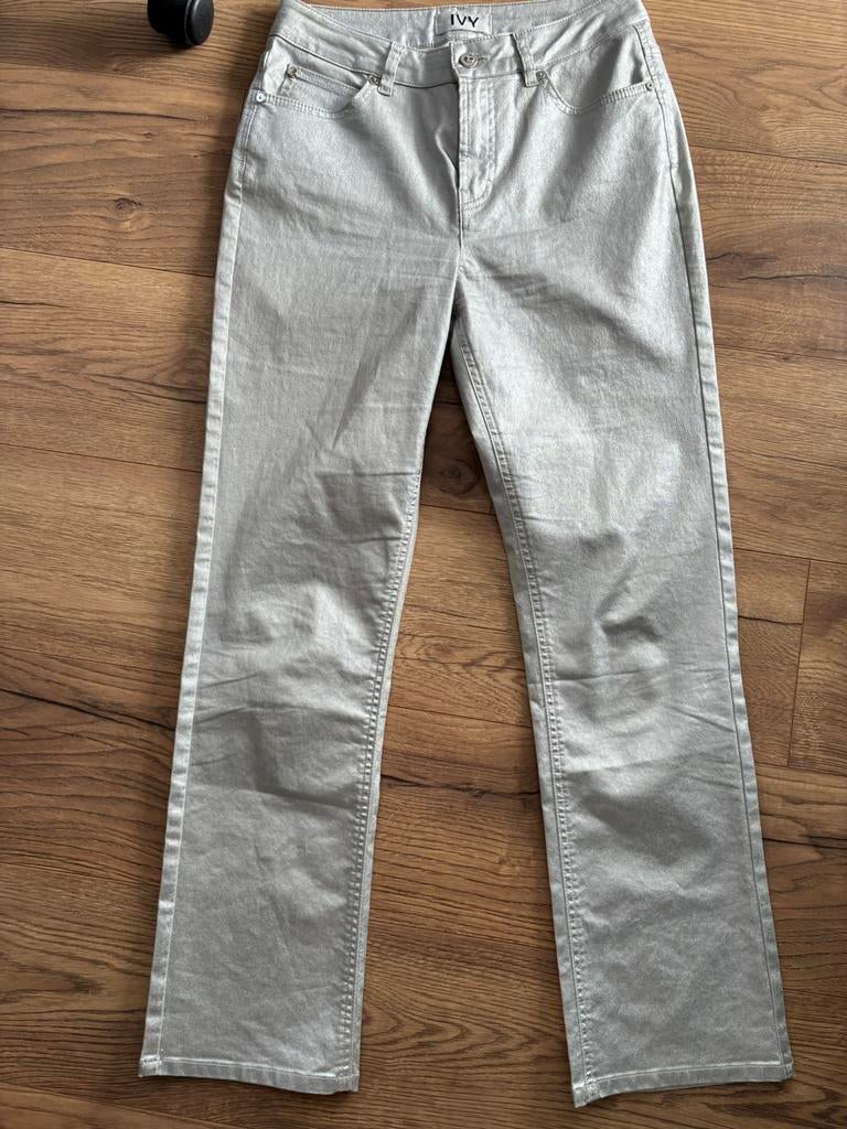 IVY DEENSE ZILVEREN BROEK 26/30, Kleding | Dames, Broeken en Pantalons, Overige kleuren, Ophalen of Verzenden, Zo goed als nieuw