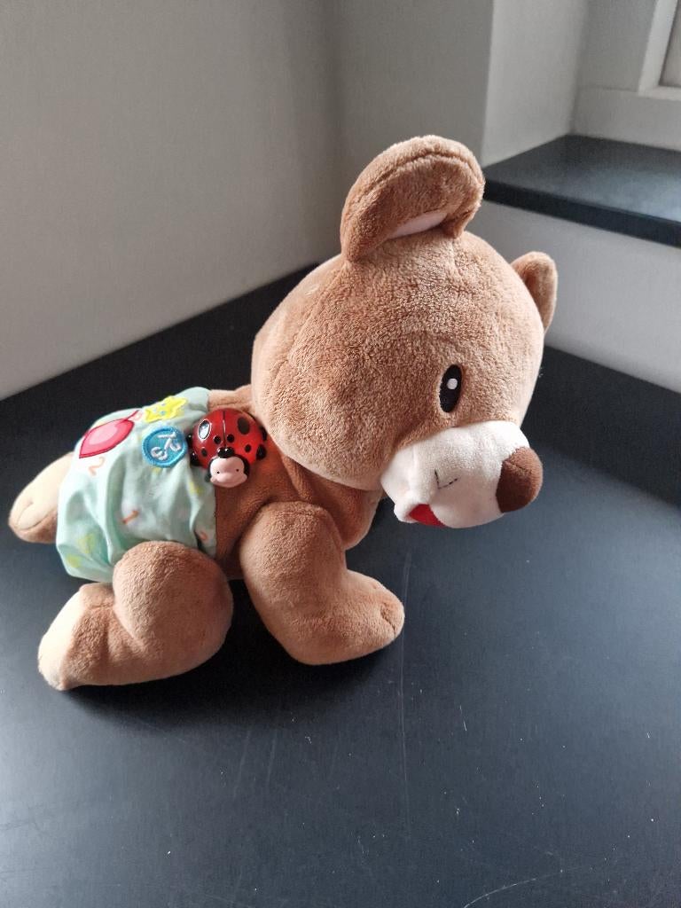 Kruip en leer beer, Ophalen, Gebruikt, 6 maanden tot 2 jaar