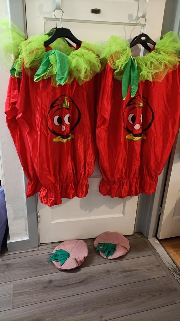 Tomatenpakjes met muts - Carnaval of themafeest, Kleding | Dames, Maat 38/40 (M), Carnaval, Ophalen of Verzenden, Kleding