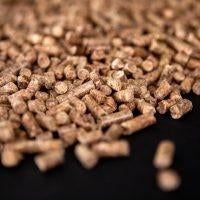 Pelletkorrels, houtpellets, pellets, 6 m³ of meer, Ophalen, Overige houtsoorten, Blokken