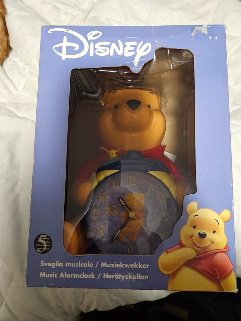 Winnie the Pooh Muziekwekker, Ophalen of Verzenden, Gebruikt, Overige typen, Met geluid