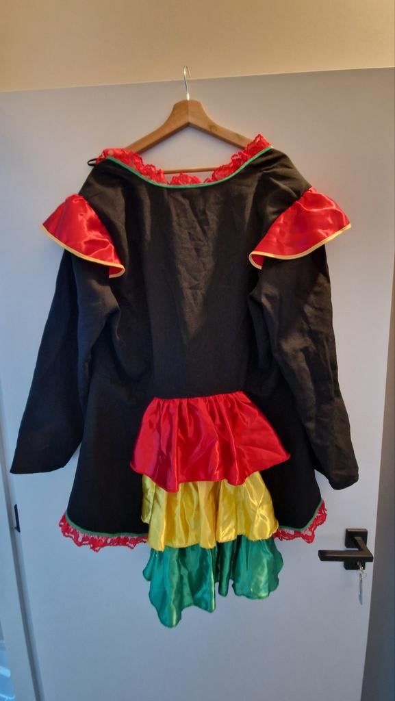 Carnavalsjas dames, Ophalen of Verzenden, Zo goed als nieuw, Maat 46/48 (XL) of groter, Carnaval