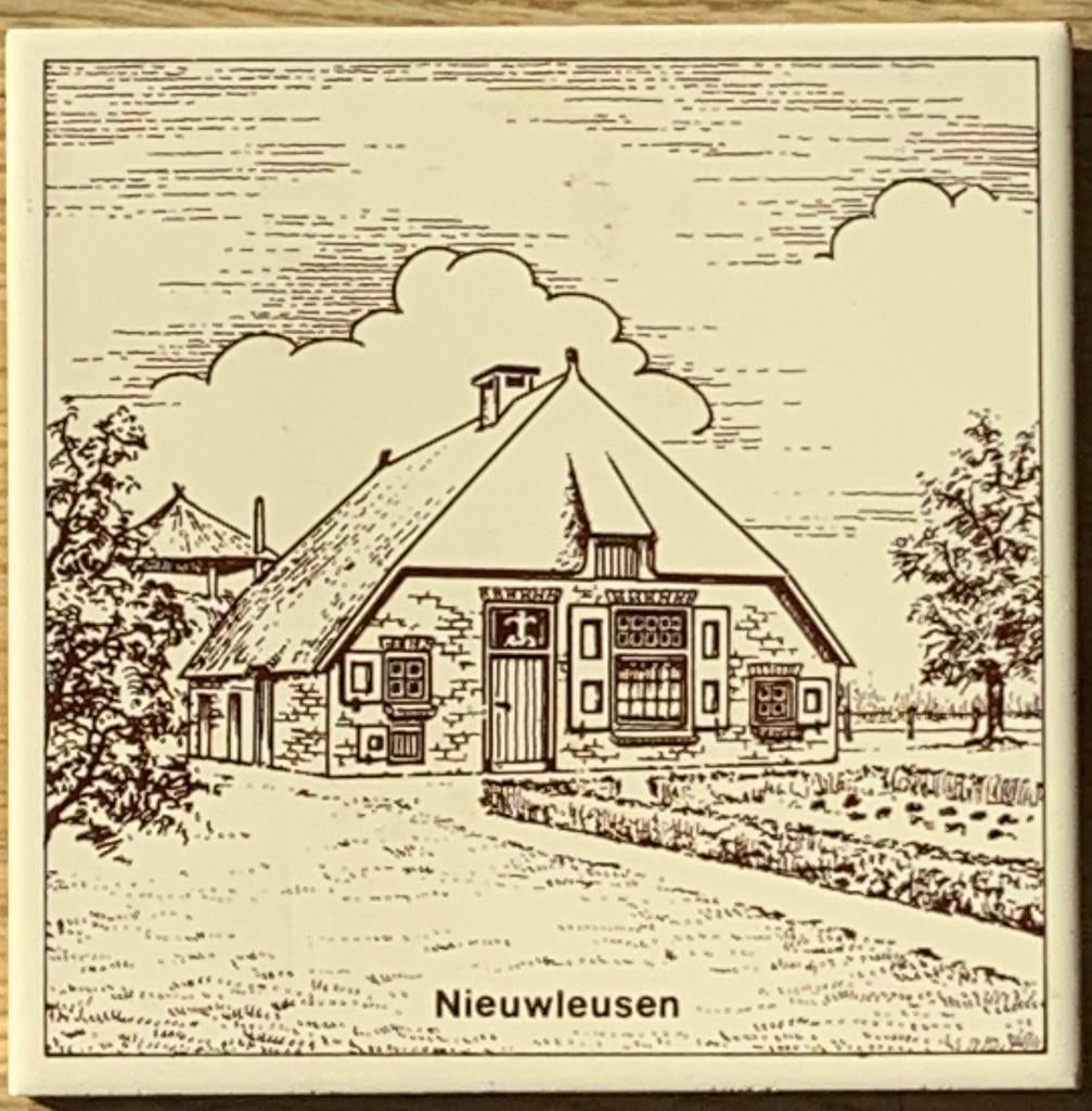 Oude Tegel met Boerderij Nieuwleusen, Ophalen of Verzenden