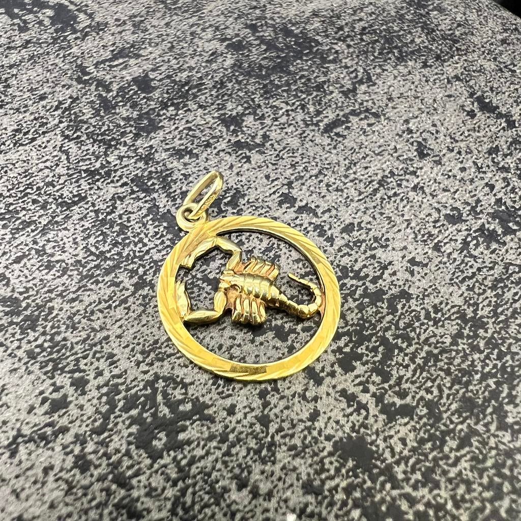 14 karaat gouden hanger schorpioen model, Ophalen of Verzenden, Zo goed als nieuw, Goud