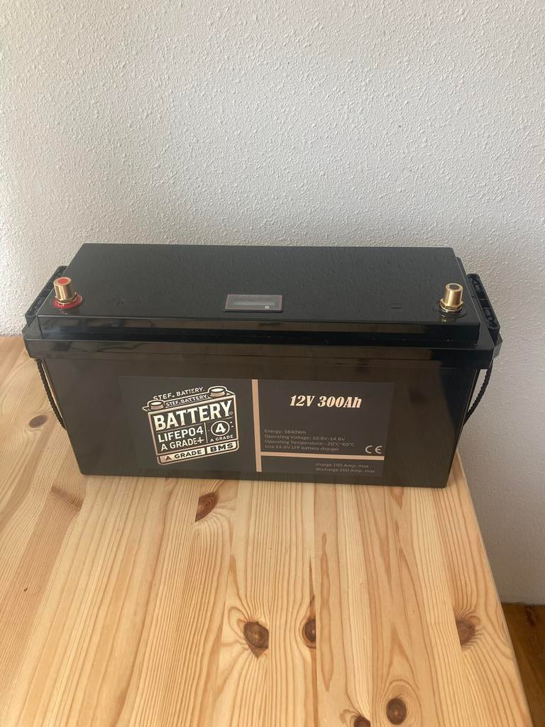 LiFePO4 lithium Accu's 12V - 100Ah tot 300Ah met Laders, Ophalen of Verzenden, Nieuw, Smart