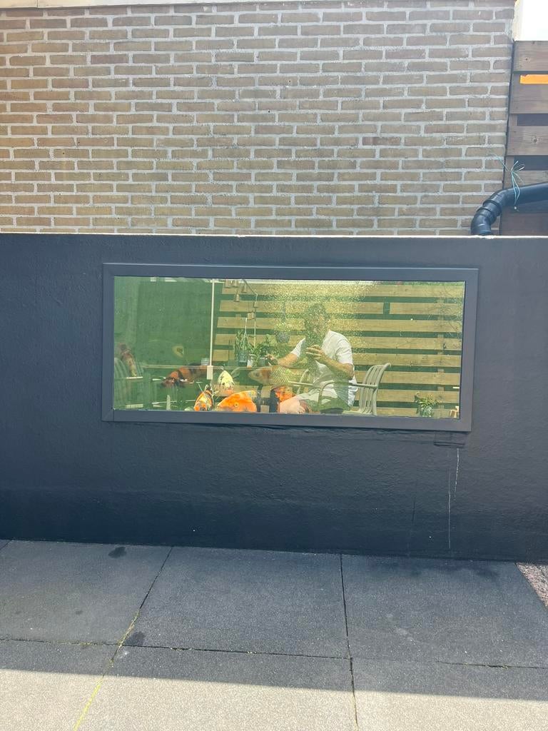 Polyester vijver met raam, Ophalen, Zo goed als nieuw