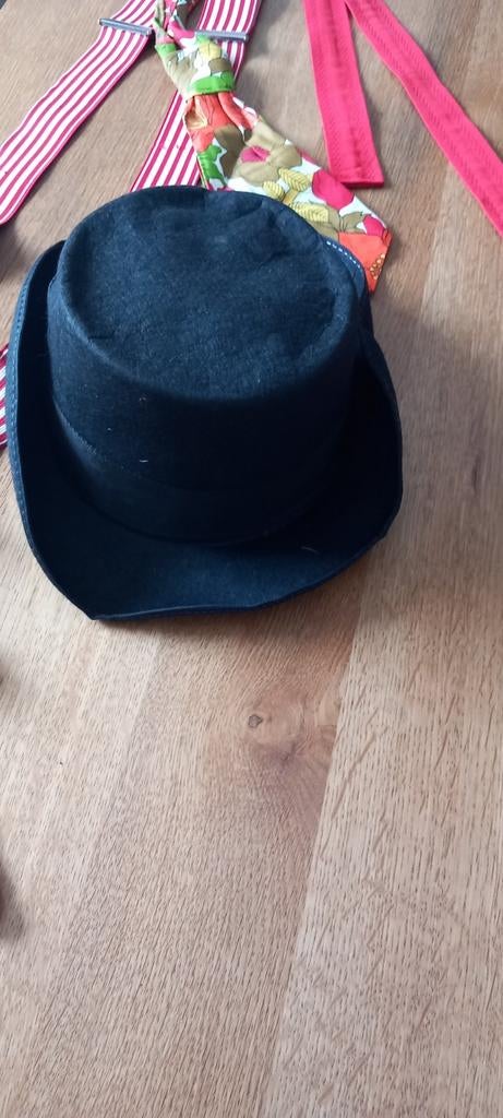 Carnaval Hoedje en Muts Set, Hobby en Vrije tijd, Ophalen of Verzenden, Zo goed als nieuw, Carnaval