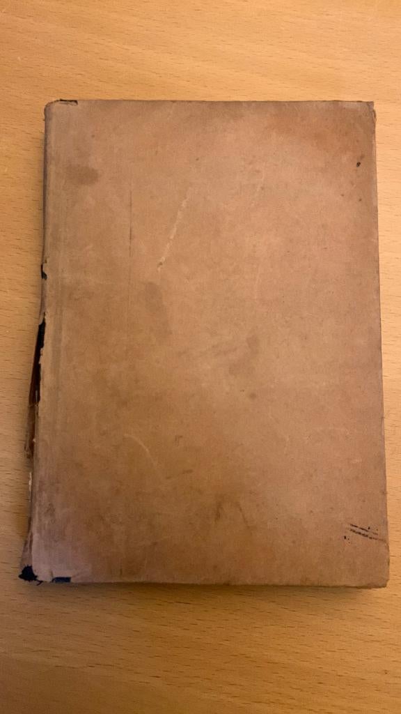 De invasie van Amerika - Fred C. Painton, Ophalen of Verzenden, Noord-Amerika