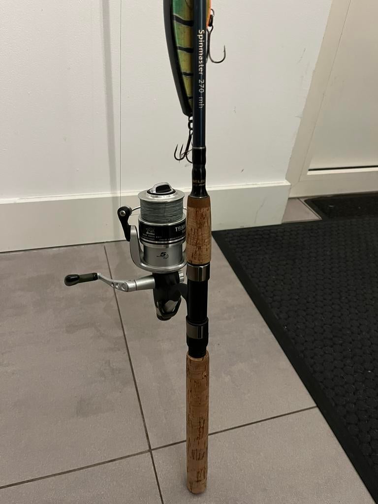 Vis Hengel 30-60 gram lengte 2.70m, Watersport en Boten, Ophalen, Zo goed als nieuw, Werphengel