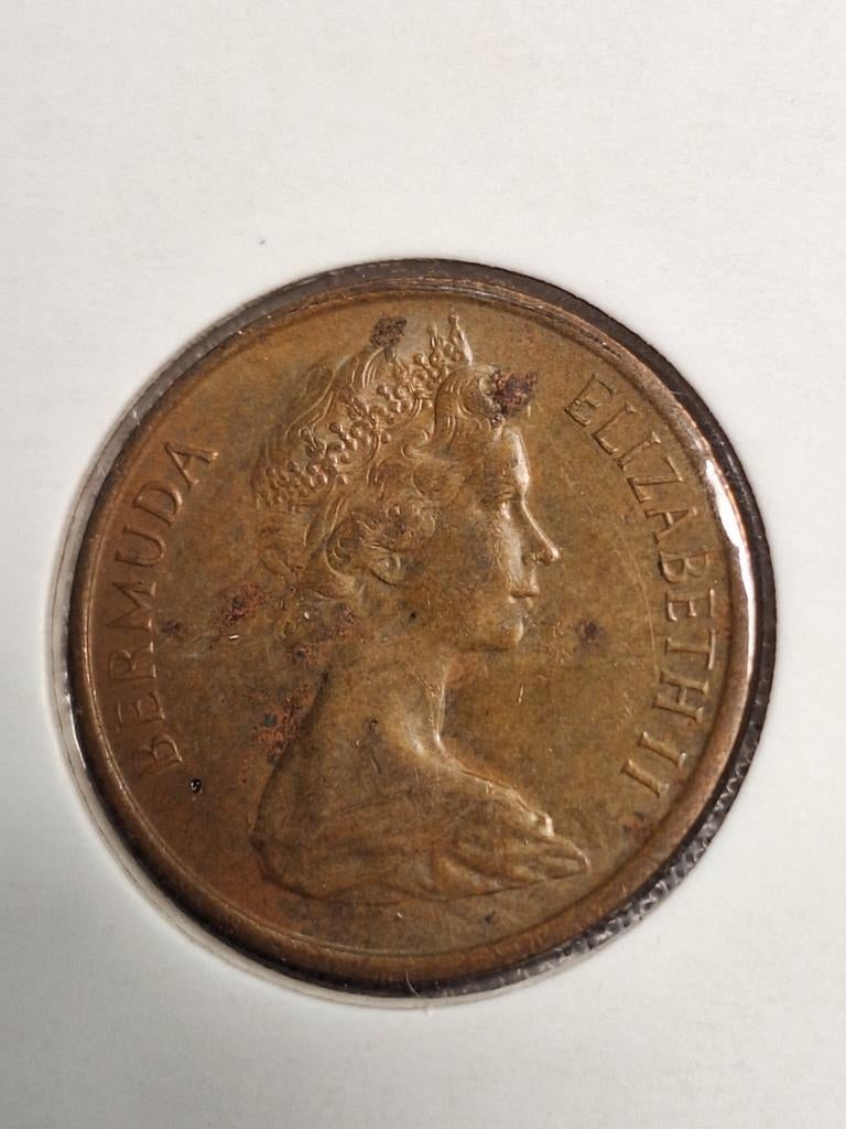 BERMUDA one cent 1981 munt (#10), Postzegels en Munten, Munten | Amerika, Ophalen of Verzenden, Noord-Amerika, Losse munt