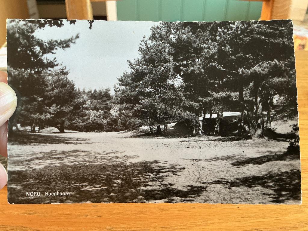 Norg Roeghoorn, Verzenden, 1960 tot 1980, Gelopen, Drenthe