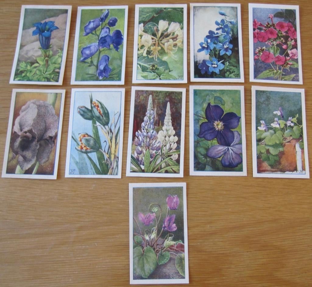 12 plaatjes voor Verkade's album - De bloemen in onzen tuin, Boeken, Prentenboeken en Plaatjesalbums, Ophalen of Verzenden, Gelezen