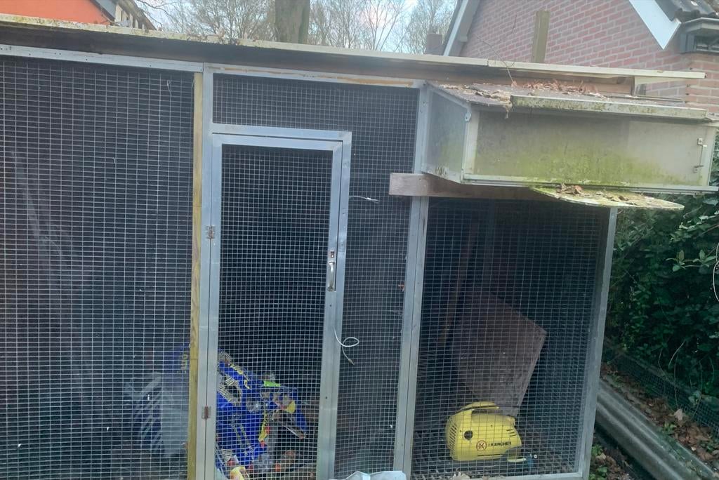 Duivenhok/Ren., Dieren en Toebehoren, Vogels | Duiven, Postduif, Geslacht onbekend