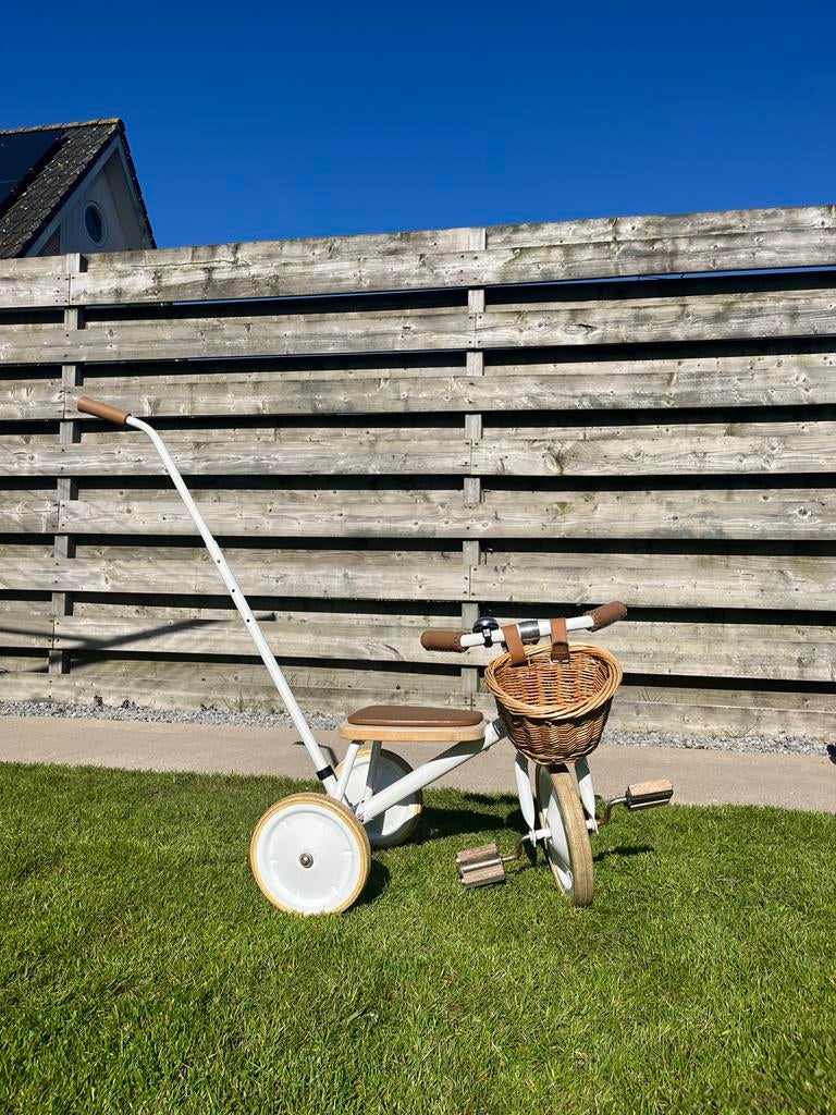 Banwood driewieler met duwstang, Ophalen, Gebruikt, Duwstang