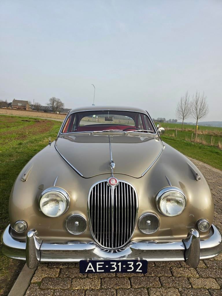 Jaguar 1960 Grijs, 1490 kg, Overige modellen, Leder, Overige kleuren