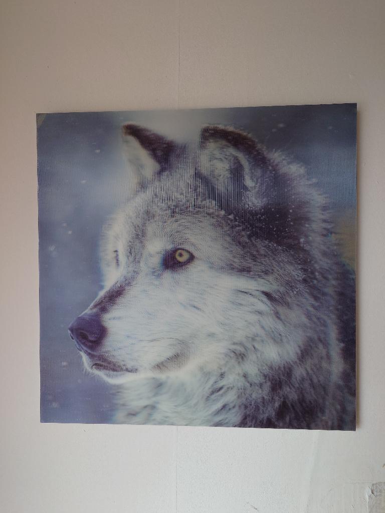 3D schilderij van een wolf, Huis en Inrichting, Woonaccessoires | Schilderijen, Tekeningen en Foto's, Minder dan 50 cm, Gebruikt