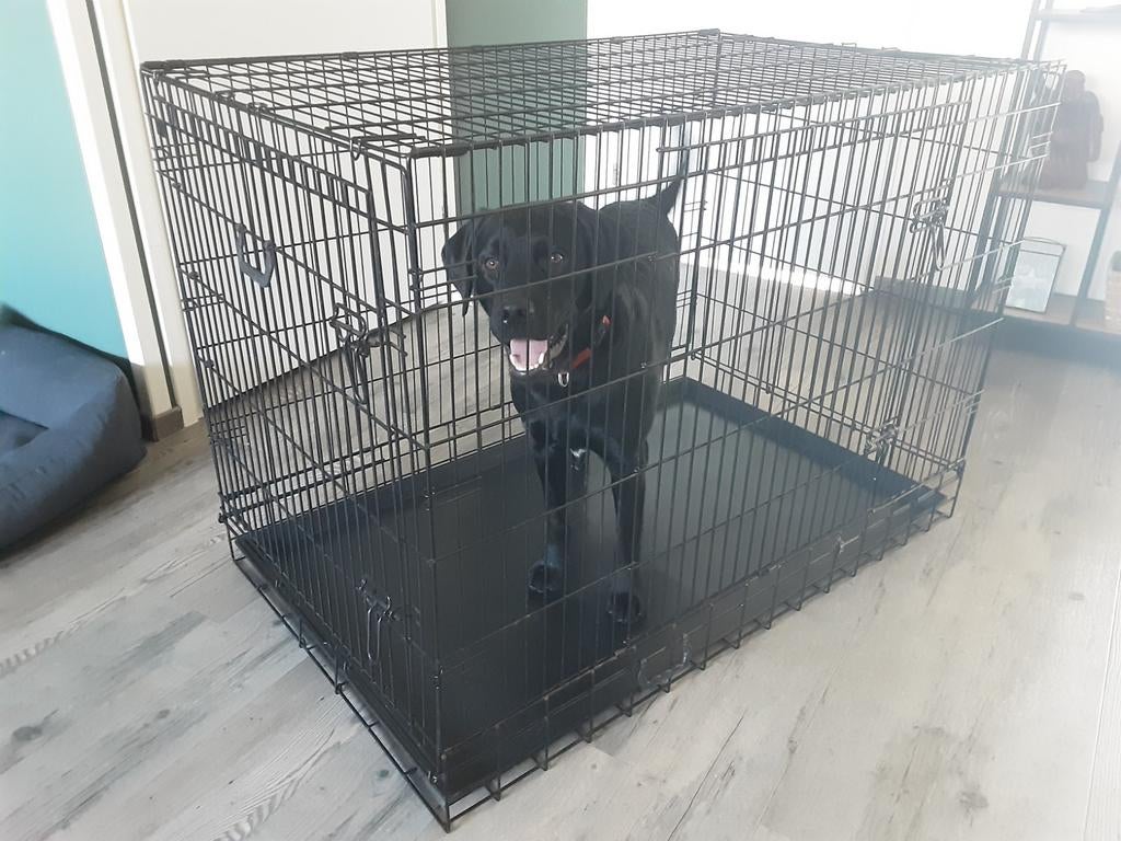 Hondenbench, Ophalen of Verzenden, Zo goed als nieuw, 75 tot 110 cm, 65 tot 100 cm