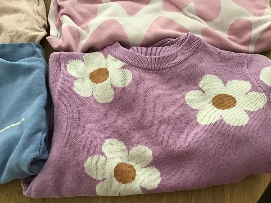 Truien long sleeves, Ophalen of Verzenden, Gebruikt, Meisje, Trui of Vest