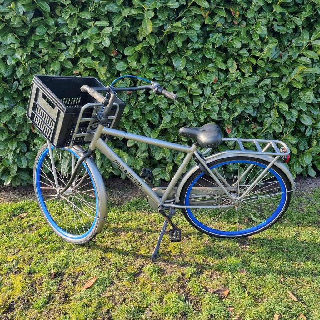 Cortina Milo Transportfiets - Grijs met blauwe accenten, Fietsen en Brommers, Fietsen | Dames | Damesfietsen, Gebruikt, Overige merken