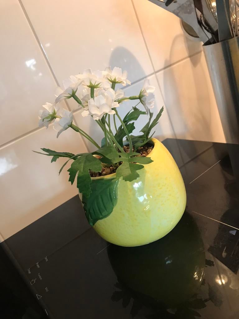 Kunstplant citroen, Ophalen of Verzenden