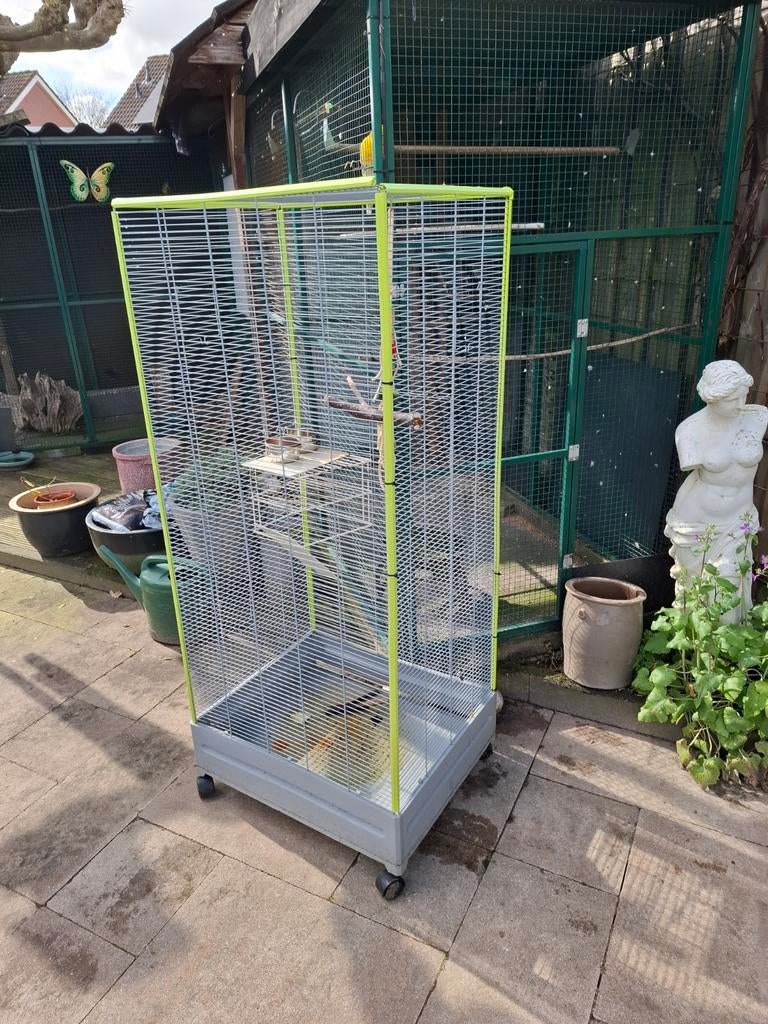 Bieden, Dieren en Toebehoren, Ophalen, Hout, Vogelkooi