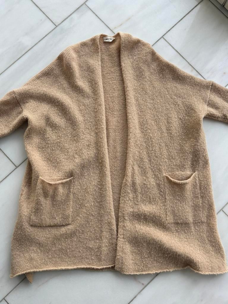American vintage vest wol/mohair, Kleding | Dames, Ophalen of Verzenden, Gedragen, Beige
