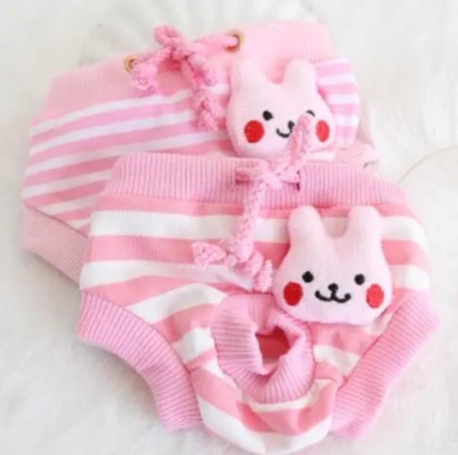 Loopsheidsbroekjes voor honden. Nieuw!, Ophalen of Verzenden, Nieuw, Hondenbroek