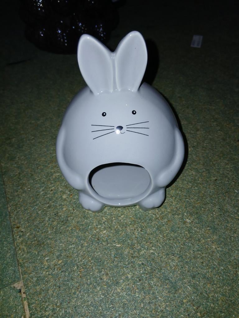 Hamster huisje, Ophalen of Verzenden