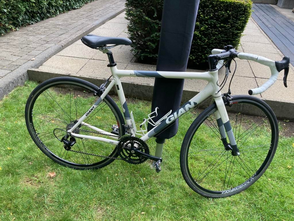 Racefiets GIANT OCR Campagnolo maat 53, Ophalen, Aluminium, Giant, Zo goed als nieuw