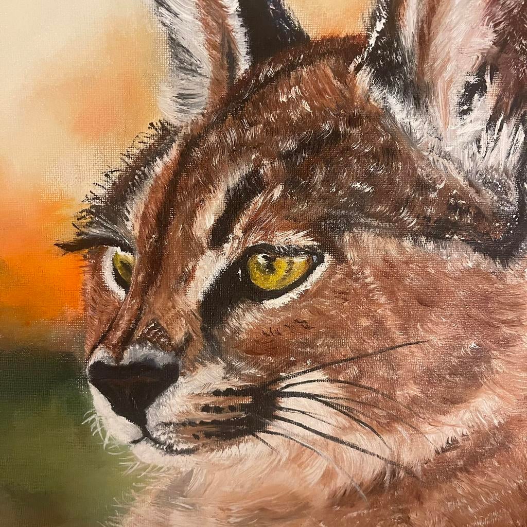 Linx wat een mooie katachtige 😻, Ophalen of Verzenden