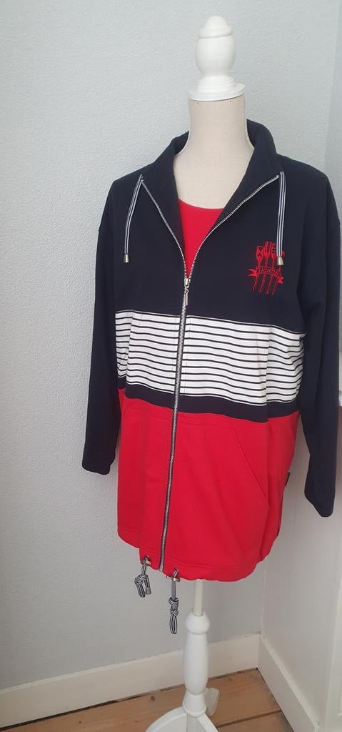 Roberto Sarto sweatvest met Gerry Weber shirt maat 48, Kleding | Dames, Blauw, Maat 46/48 (XL) of groter, Ophalen of Verzenden