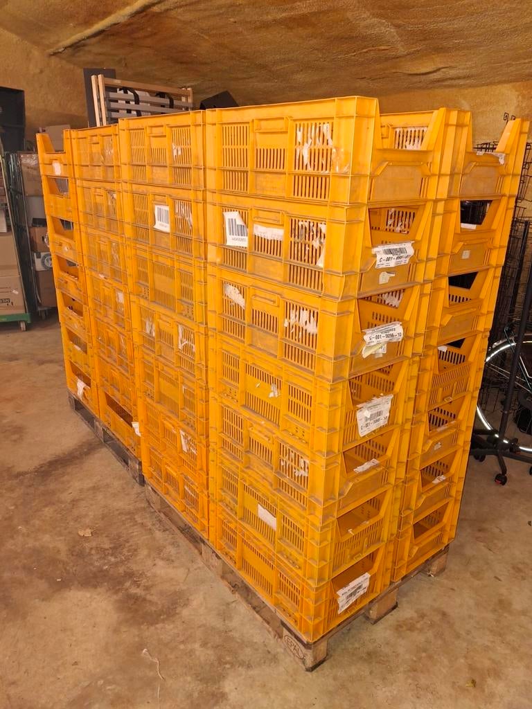 Kunststof Grijpbak/Veiling Kratten Opberg Bakken AGFO Vanaf:, Ophalen, Gebruikt, 40 tot 60 cm, 50 tot 75 cm