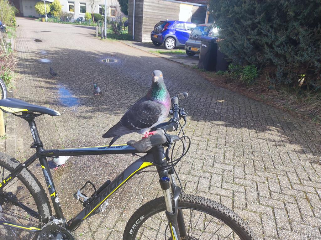 Merida  atb 399 euro, Heren, Merida, Niet ingevuld, Zo goed als nieuw