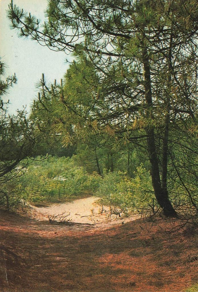 Groeten uit Markelo, Ophalen of Verzenden, 1960 tot 1980, Gelopen, Overijssel