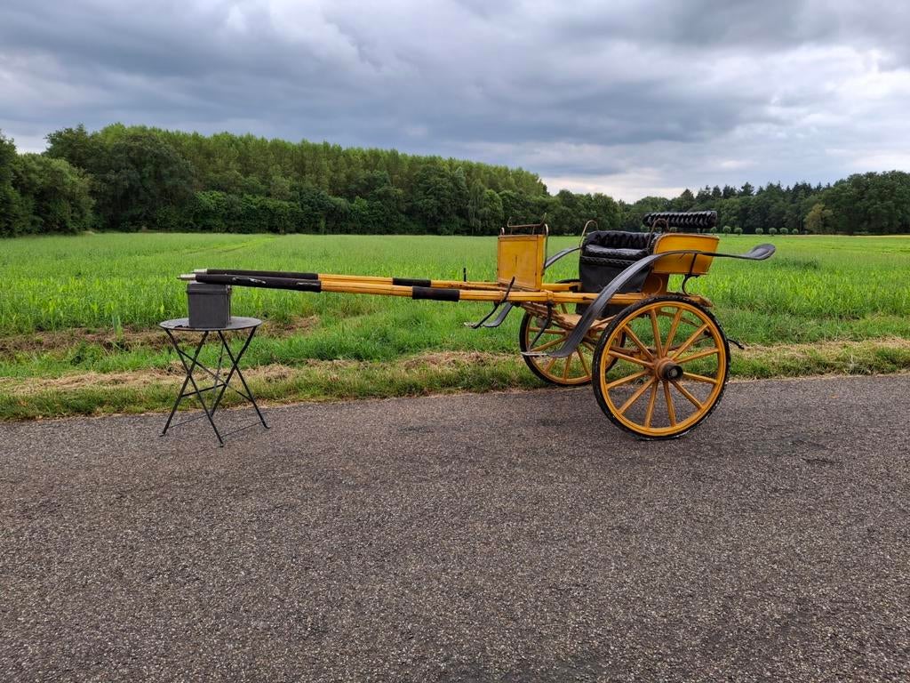 Antieke beleerwagen, Dieren en Toebehoren, Rijtuigen en Koetsen, Gebruikt, Paard of Pony