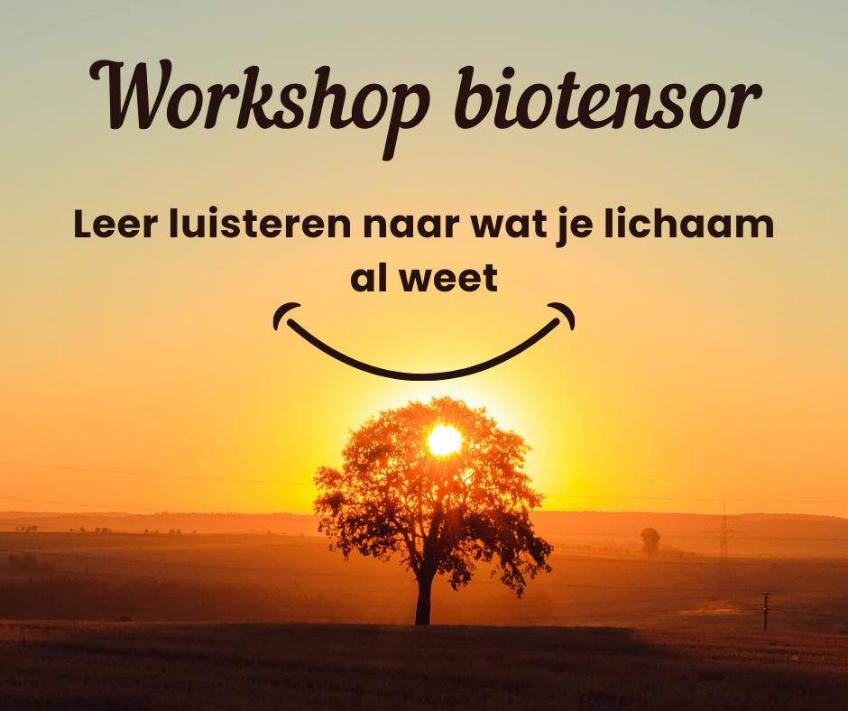 Workshop biotensor Zwaag Noord Holland maart april 2026, Ophalen, Nieuw, Meerdere media