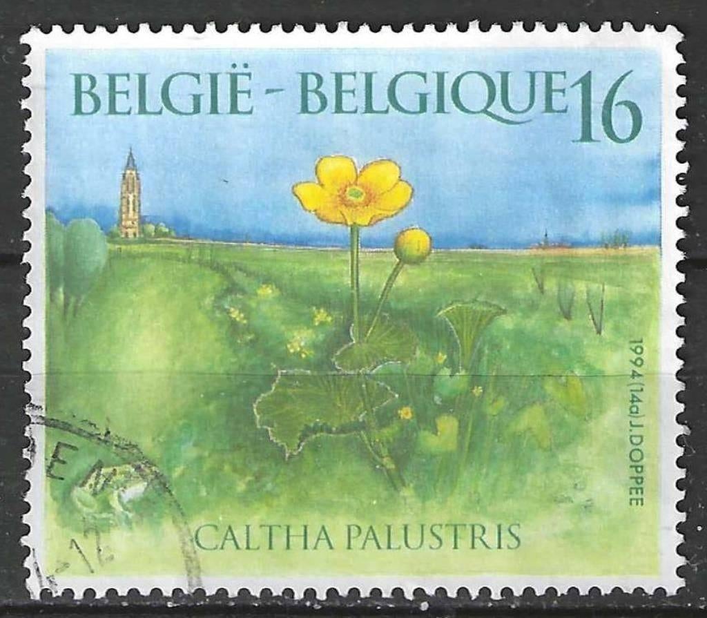 Belgie 1994 - Yvert/OBP 2572 - Natuur - Planten (ST), Ophalen of Verzenden, Gestempeld