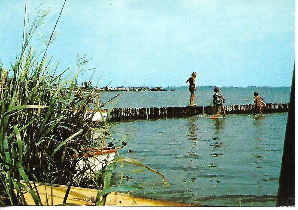 Suameer- -Recr.centrum Bergumer Meer., Verzenden, 1980 tot heden, Gelopen, Friesland