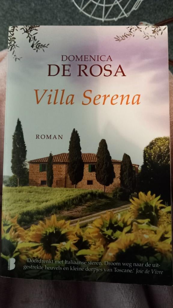 Domenica De Rosa - Villa serena, Boeken, Ophalen of Verzenden, Gelezen, Domenica De Rosa