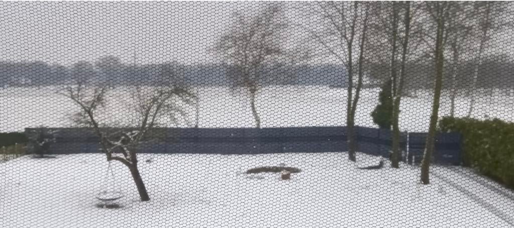 Hekwerk afrastering, Tuin en Terras, Ophalen, Gebruikt, Overige typen