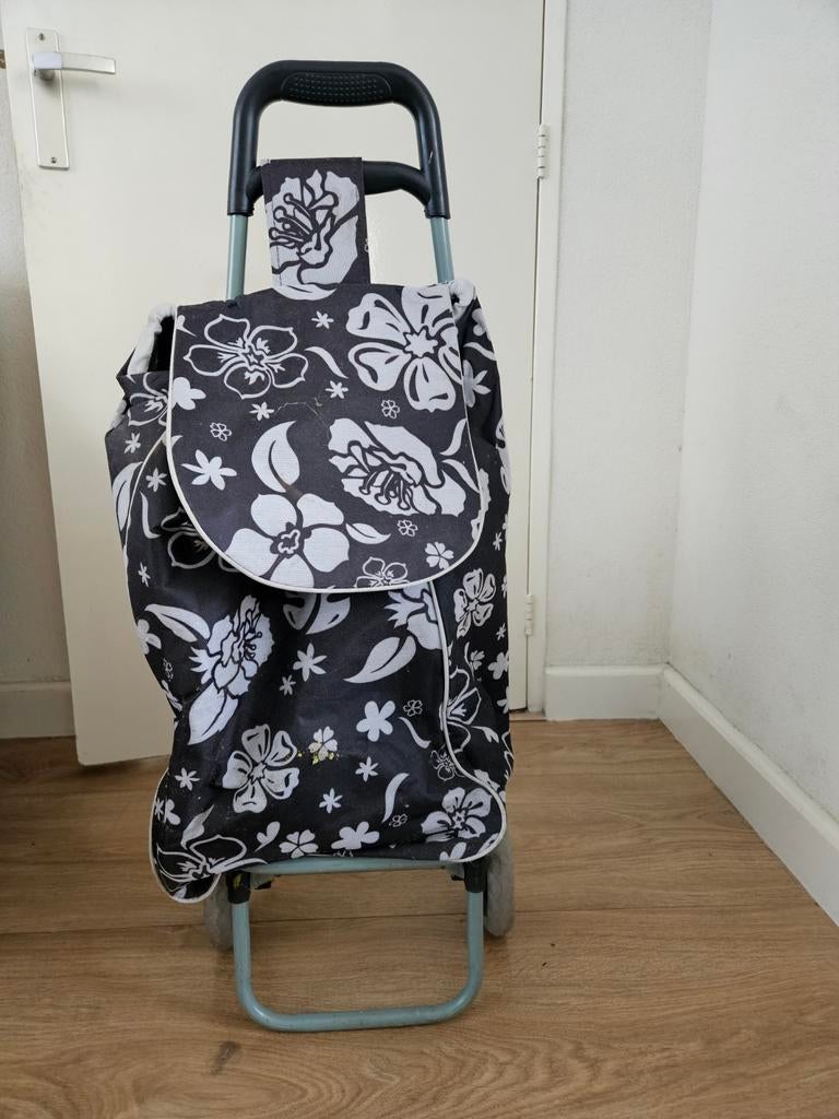 Boodschappen trolley, Ophalen, Zo goed als nieuw, 30 cm of meer