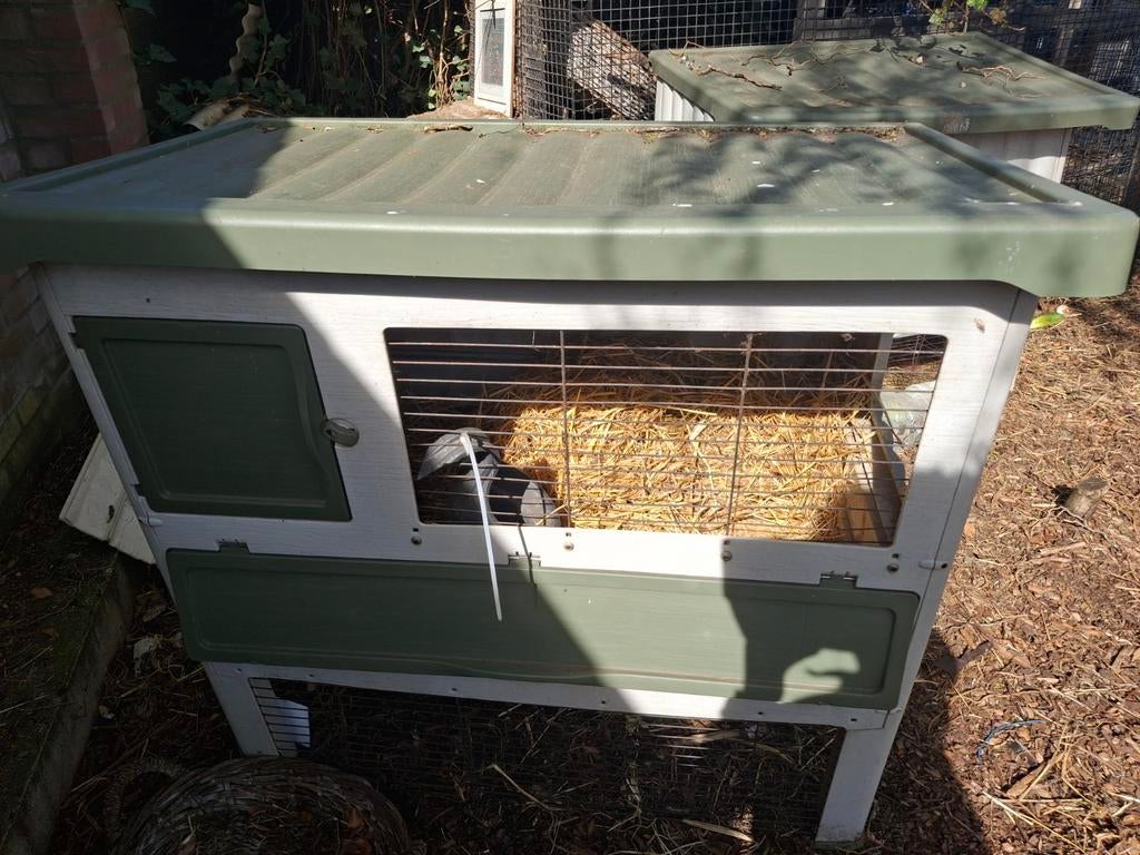 Gratis konijnen hok, Ophalen of Verzenden