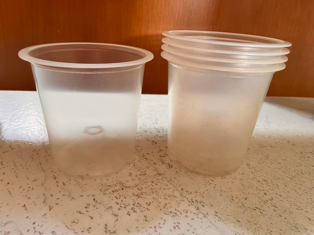 Transparante plantenpotjes | kweekpotjes | 10 voor €5,-, Tuin en Terras, Kweekspullen, Ophalen of Verzenden, Gebruikt, Overige typen