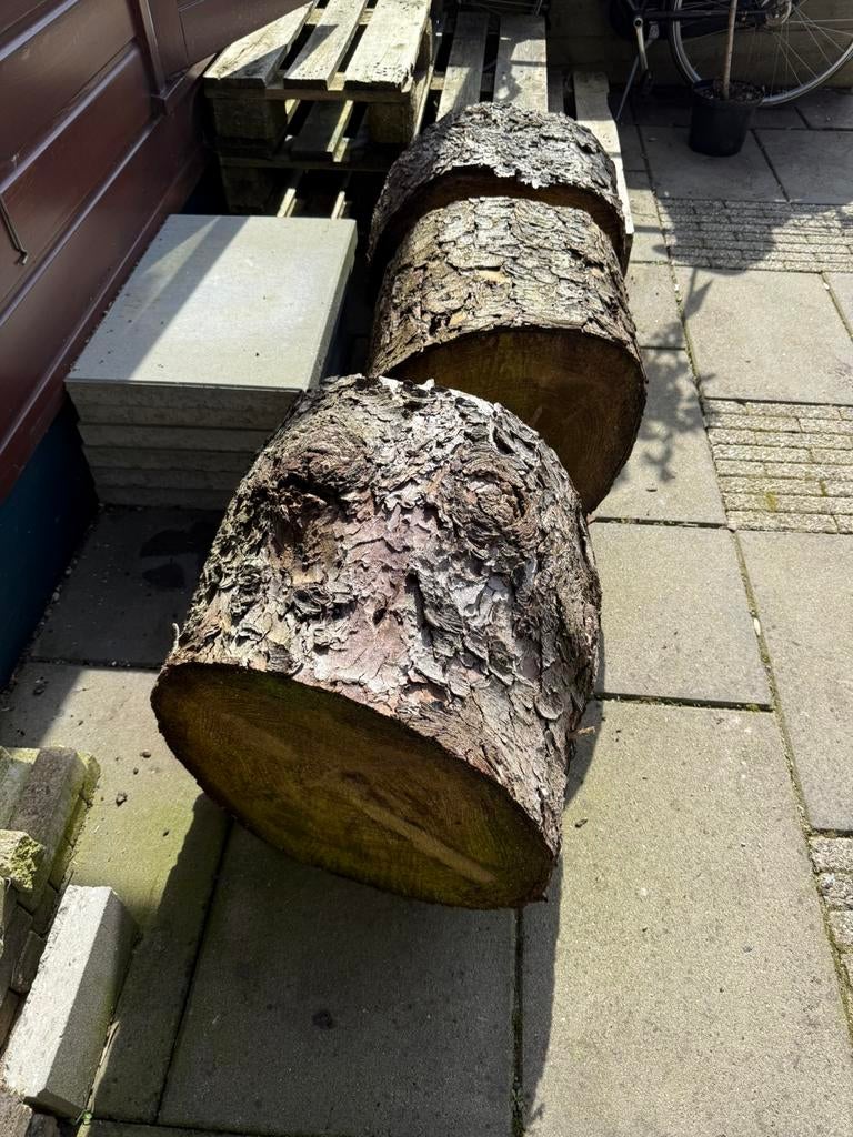 3 boomstronken 50cm doorsnee, Doe-het-zelf en Verbouw, Hout en Planken, Ophalen, Overige typen, Zo goed als nieuw, Minder dan 200 cm